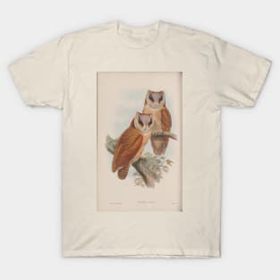 Owls T-Shirt